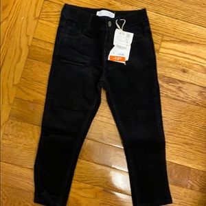 NWT adjustable waist Zara pants